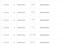 賽力斯布局汽車后市場(chǎng)，申請(qǐng)“問(wèn)界”系列二手車、金融、保險(xiǎn)等商標(biāo)