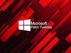 微軟2月大更新：Win10/Win11共修復55個漏洞，含4個已被黑客利用的零日漏洞