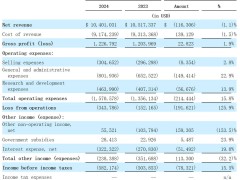 勤惠科技冲刺纳斯达克上市，上半年营收微降净亏损58万美元