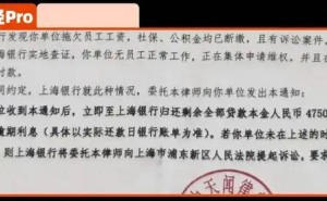 纵目科技暴雷！雷军2亿投资打水漂，美籍老板携款失踪