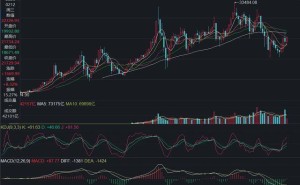 宁德时代赴港IPO，曾毓群身价超2500亿，海外扩张能否撑起2万亿估值？