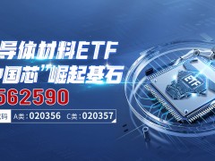 半导体板块逆市获宠，DeepSeek助力国产AI芯片，ETF资金连续流入！