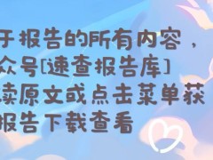 2024全球可再生能源新态势：增长与挑战并存