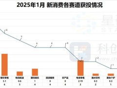 春节效应叠加政策推动，年初消费市场热潮涌现，餐饮零售融资抢眼