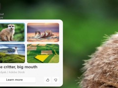 微軟Windows 11新功能：Copilot助你探索壁紙背后的故事