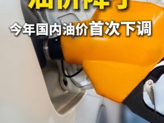 2025年油價(jià)首降！92號(hào)、95號(hào)汽油每升均下調(diào)，車(chē)主們笑了