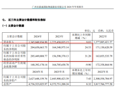 嘉诚国际2024年业绩亮眼，跨境电商合作深化引领物流新风尚