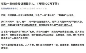 比亚迪重拳出击“黑公关”，举报线索最高可获500万奖励！