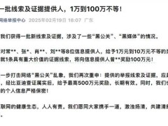 比亚迪重拳出击“黑公关”，举报线索最高可获500万奖励！