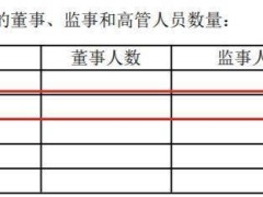 华泰人寿2024年高管薪酬曝光，张蓓兼任多职年薪领跑