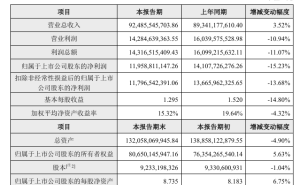 海康威视2024年净利润下滑15.23%，海外市场成增长新动力？