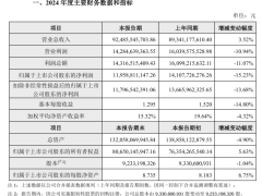 海康威視2024年凈利潤下滑15.23%，海外市場成增長新動(dòng)力？