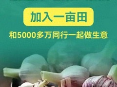 一亩田赴美IPO在即，能否成农产品电商领域领头羊？