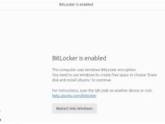 Ubuntu 25.04四月来袭：新功能冻结，BitLocker加密设备安装体验大升级