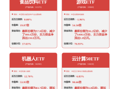 中际旭创回应：1.6T与800G光模块海外需求为主导，国内市场如何应对？