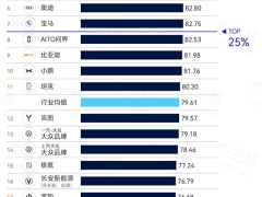 小米汽車售后服務奪冠！2024下半年新能源售后能力榜單揭曉