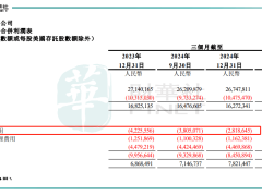 网易财报亮点与隐忧：利润大增背后，游戏业务分化股价波动