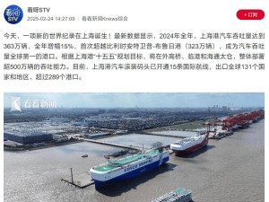 上海港汽车吞吐量问鼎全球，年超363万辆彰显中国物流实力！