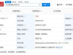 网红大楼丽晶国际背后的开发商，浙江尊峪置业已悄然注销