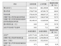 海光信息2024年业绩亮眼：净利润近20亿，增速超五成