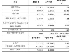 极米科技2024年度业绩出炉：营收微降，净利润微增，四季度强势扭亏