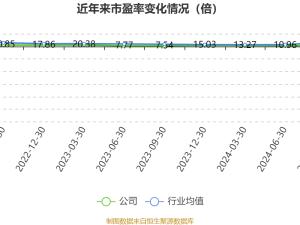 纳科诺尔2024年净利大增32%，营收破10亿，业绩增长强劲！