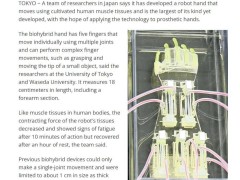 日本研發(fā)出18厘米長人類肌肉驅動機械手，或將用于假肢開發(fā)