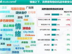 2024情绪经济深度剖析：Z世代如何引领消费新风尚？