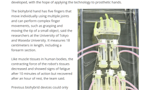 日科学家研发出18厘米长生物机械手，人类肌肉驱动新突破！