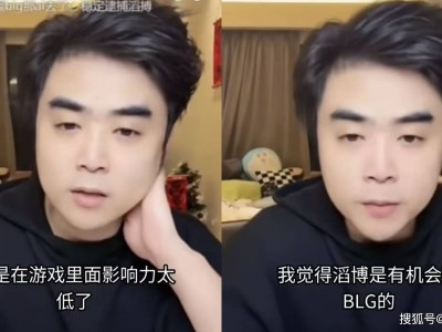 BLG败北，Bin赛后强硬回应：无需调整，全华班未来何去何从？