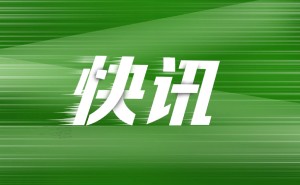 光伏业步入“黑暗森林”，阿特斯呼吁：专利勿成内卷利器！