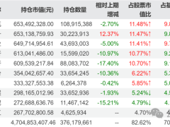 AI风口下的坚守者？姜诚的“佛系”投资是稳健还是滞后？