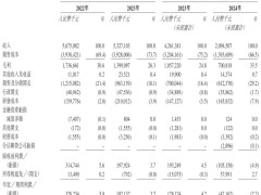 星邦互娱冲刺港股，营收下滑超五成，前9个月亏损近五千万