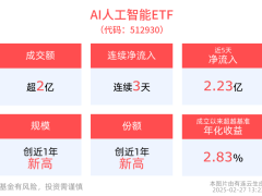 英伟达财报亮眼，DeepSeek降价促AI热潮，两大ETF资金净流入规模创新高