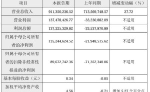 中微半导体2024年业绩大反转，净利润达1.35亿，如何实现扭亏为盈？