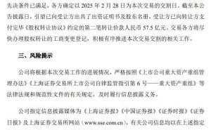 赛力斯收购华为引望10%股权，第二笔57.5亿款项已付清