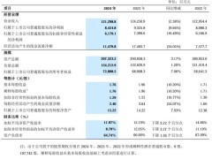 中兴通讯2024年财报：营收微降，净利润下滑近一成