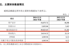 至纯科技并购威顿晶磷：核心谜团待解，现金流紧张下的扩产之路？