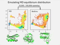 微軟新AI模型BioEmu-1：藥物研發利器，精準預測蛋白質結構動態變化