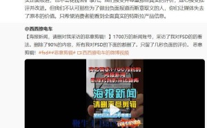 特斯拉陶琳发声：从不花钱买好评，呼吁消费者看到全面真实的产品信息