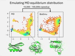 微软BioEmu-1：AI新突破，精准预测蛋白质动态变化助力药物研发