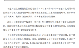 万辰集团董事长被留置，好想来量贩零食王国能否稳住根基？