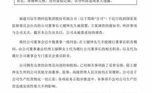 万辰集团董事长王健坤遭留置立案，企业去年扭亏为盈前景如何？