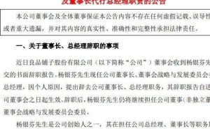 良品铺子董事长杨银芬请辞，程虹接任新董事长，公司未来何去何从？