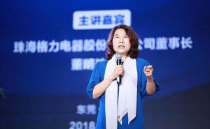 董明珠两会提案：个税起征点调至万元，优化税率结构促消费