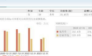 锦龙股份2024年营收大增，董事长张丹丹去年薪酬近乎腰斩