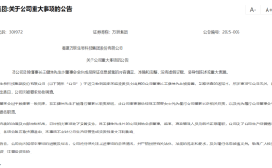 万辰集团董事长王健坤被立案调查，量贩零食“好想来”母公司前景几何？