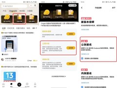 iQOO 9系列、vivo Y300 Pro等9机型OriginOS 5公测报名正式启动！