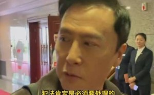 王大陆教唆打人事件引热议，甄子丹：犯法必受法律裁判