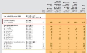 联众高层调整：46岁陆京生由CEO转任CFO，曾任德勤高管年薪超300万